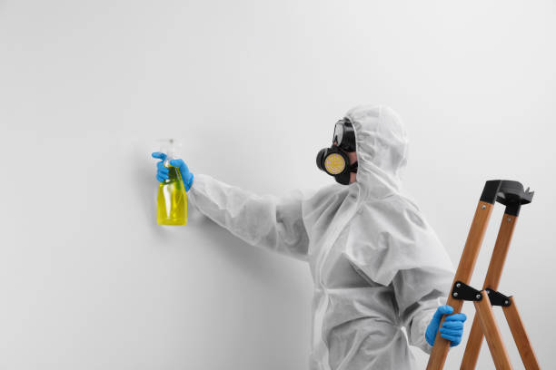 Professional Mold Removal & Remediation in Mission Viejo, CA